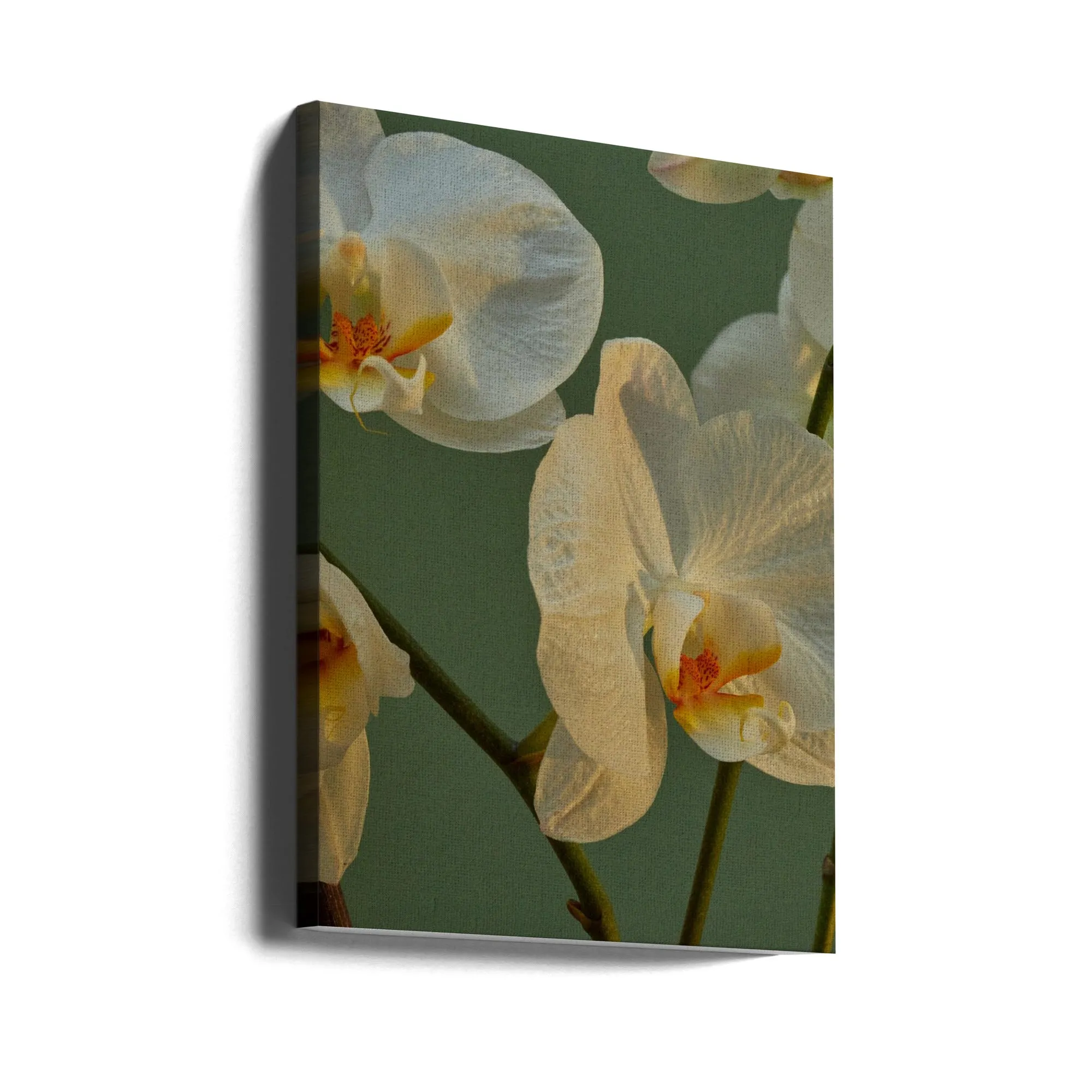 59 - Stretched Canvas, Poster or Fine Art Print