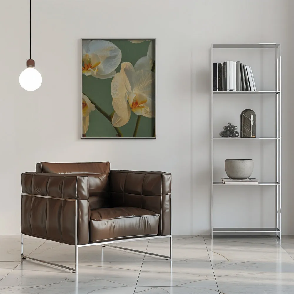 59 - Stretched Canvas, Poster or Fine Art Print