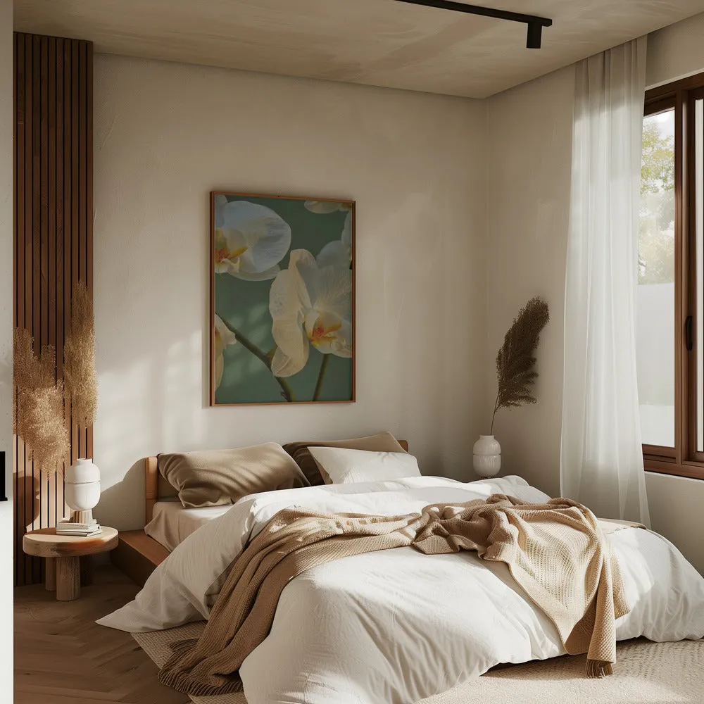 59 - Stretched Canvas, Poster or Fine Art Print