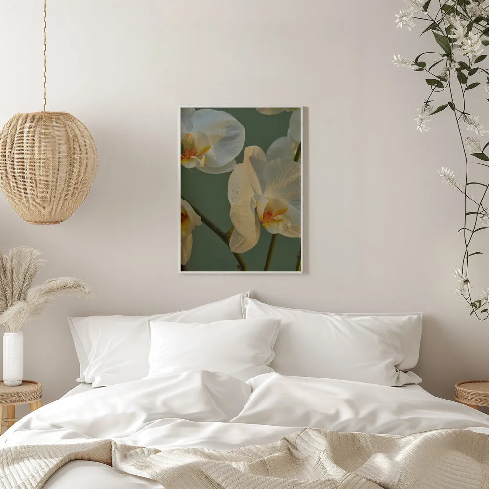 59 - Stretched Canvas, Poster or Fine Art Print