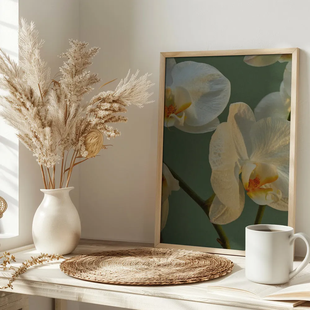 59 - Stretched Canvas, Poster or Fine Art Print