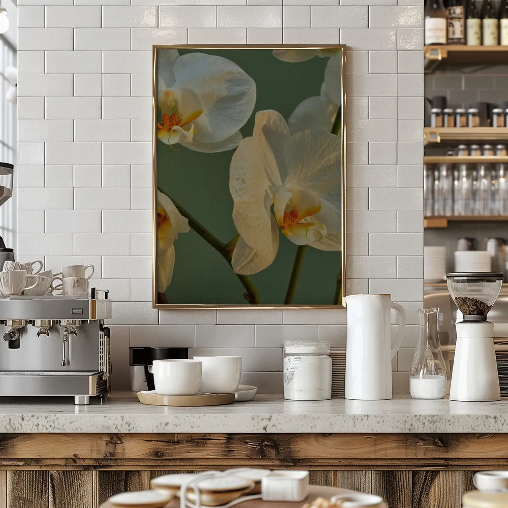 59 - Stretched Canvas, Poster or Fine Art Print