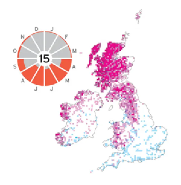 Collins BTO Guide to British Birds