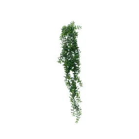 Cresent Hanging Succulent 74cm