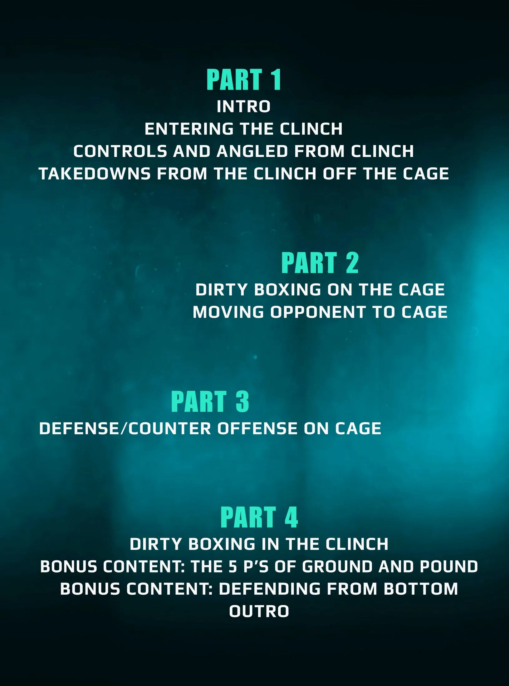 Dirty Boxer: Clinch & Takedowns For MMA by Matt Lindland