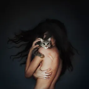 The Embrace