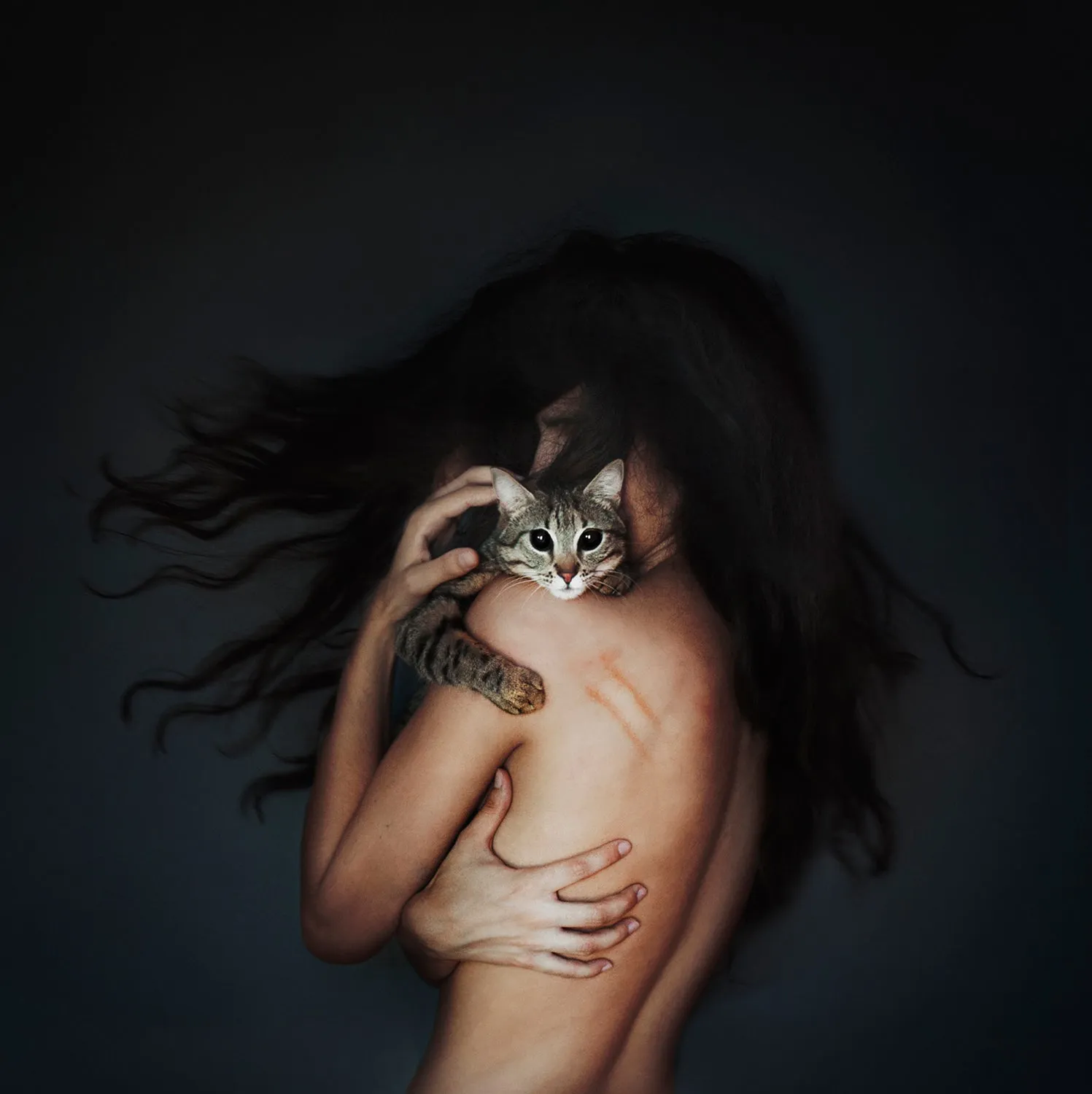 The Embrace
